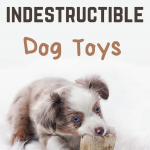 amazon dog toys that cannot be destroyed