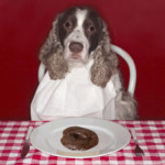 3-dog-eating-poop
