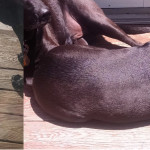 before-after