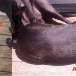 before-after copy