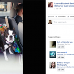 dog-donations-fort-mac