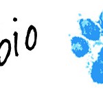 fabio-sig