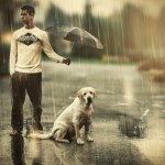 raindog2