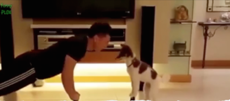 dog working out with human