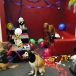 3-party