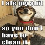 7-funny-dog-pics