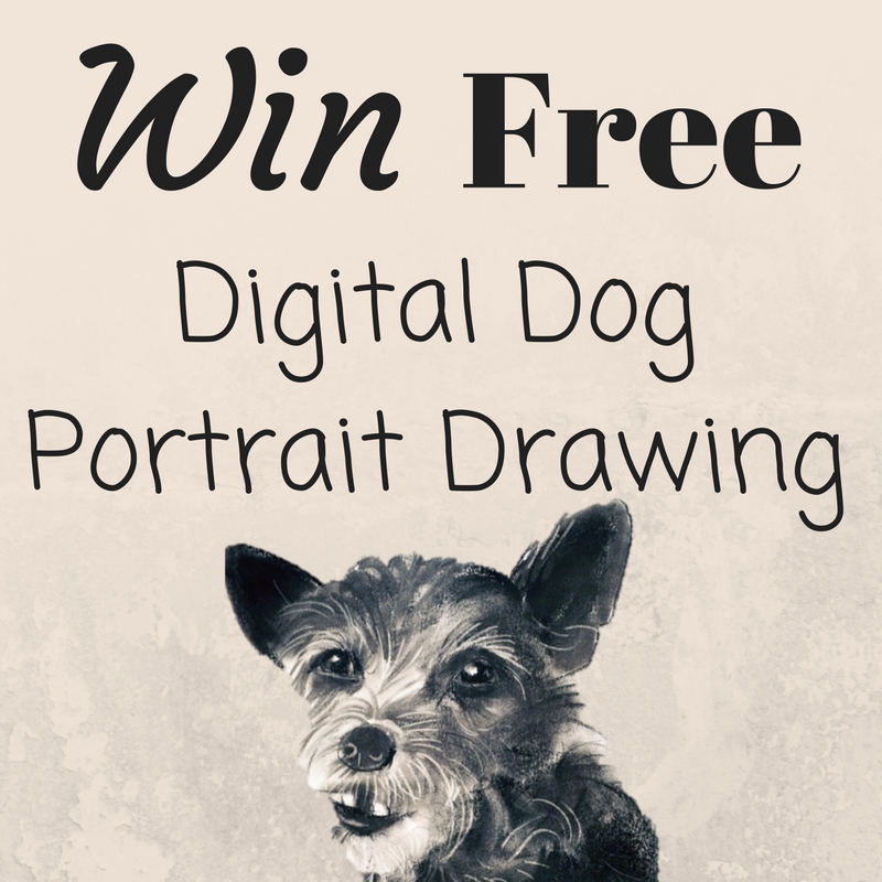 dog contest, free dog drawing