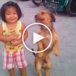 cute-dog-videos-2