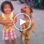 cute-dog-videos-3