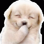 laugh