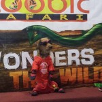 standing-dog-cute-dog-video