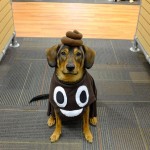5-last-minute-dog-costumes