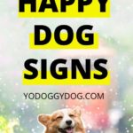 dog body language 2