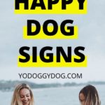 dog body language 3