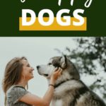 dog body language 6