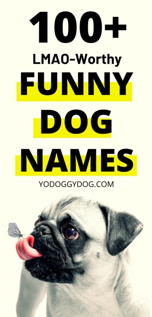 Funny Dog Names Boy 492x1024 