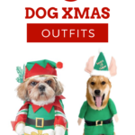 Dog Christmas Outfits & Costumes