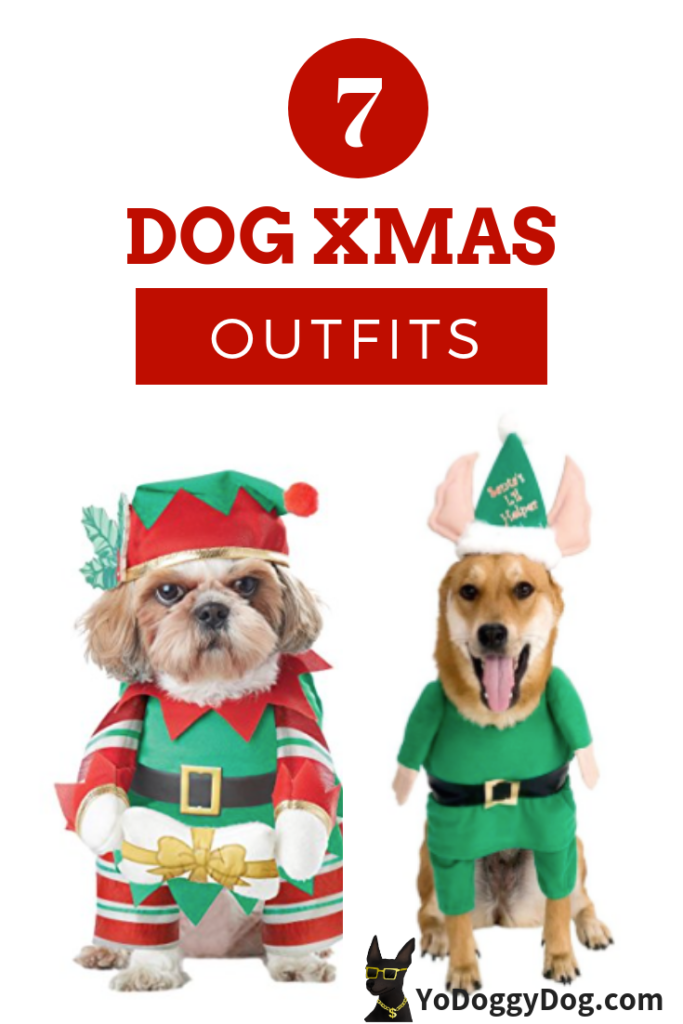 Dog Christmas Outfits & Costumes