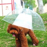 dog-gifts-for-christmas-5