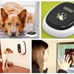 dog-gifts-for-christmas-8