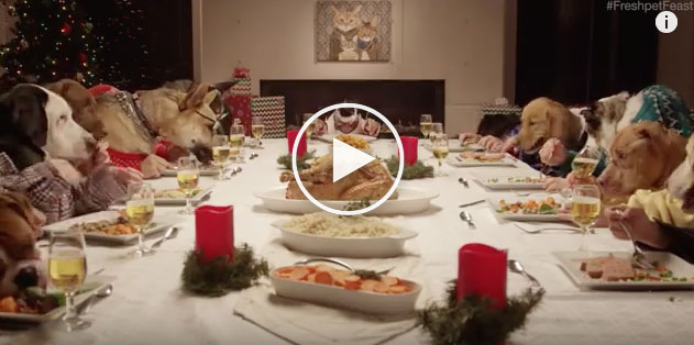 christmas dog video, funny christmas dog video, dogs eating christmas dinner