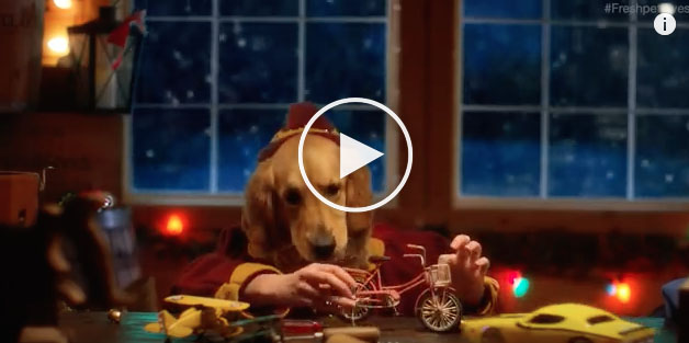 christmas dog videos, funny christmas dog videos, dog elves
