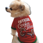 dog Christmas outfit 2