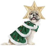 dog Christmas outfit 4