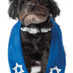 dog-christmas-costume-10