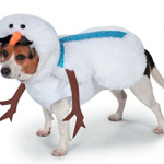 dog-christmas-costume-9