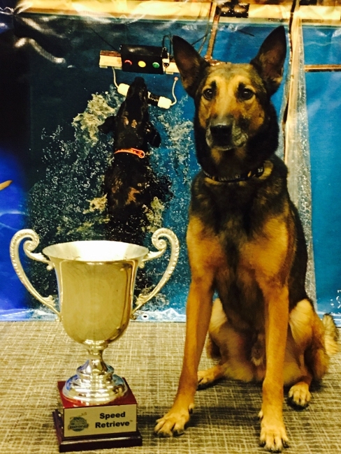 dog-wins-championship