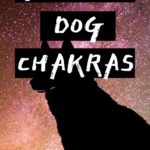 dog chakra
