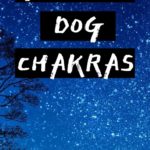 dog chakra 2