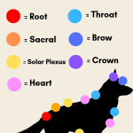 dog chakra 2