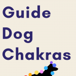 dog chakra 3