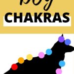 dog chakra 6