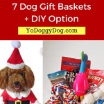 dog-gift-basket