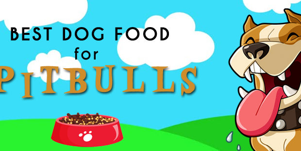 best dog food for pitbull