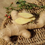spices-good-for-dogs-3