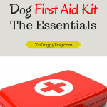 dog first aid kit