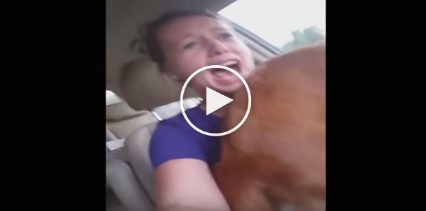 dog poops on owner, funny dog video