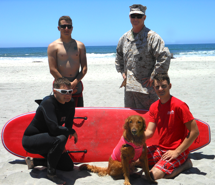 veteran dog, dog hero, dog therapy, veteran dog video, dog special needs