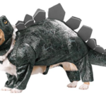 Dinosaur Dog Costume