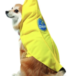 banana-dog-costume