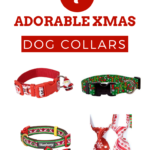 christmas dog collar