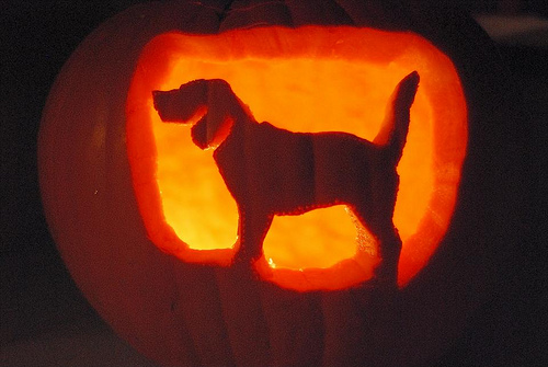 dog pumpkin carving, dog pumpkin carving stencil