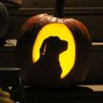 dog pumpking carving 9