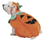 pumpkin dog costume
