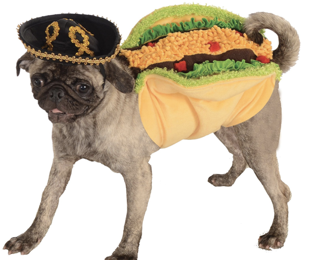 taco dog costume.