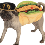 taco dog costume